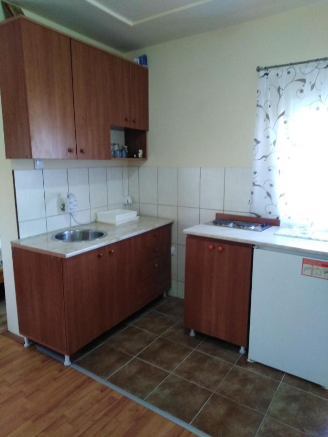 Apartman Sasa Banja Koviljača Exterior foto