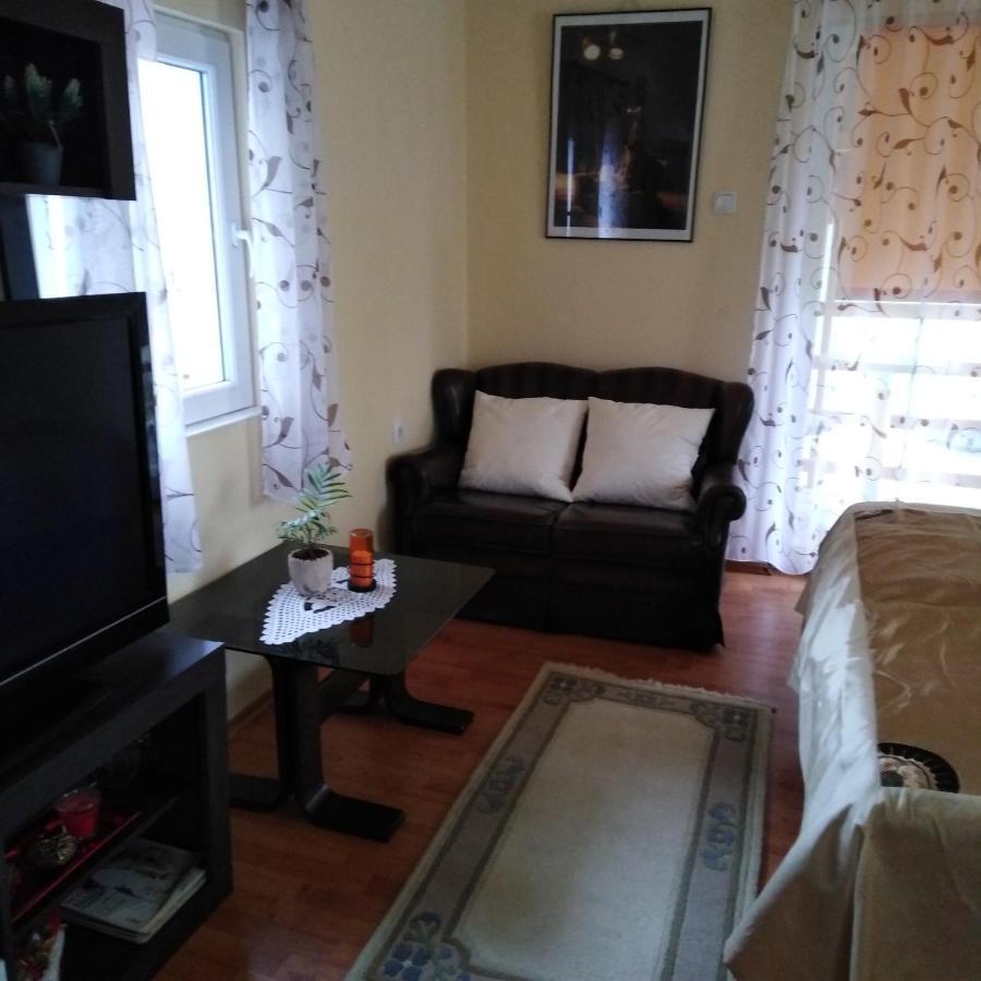 Apartman Sasa Banja Koviljača Exterior foto