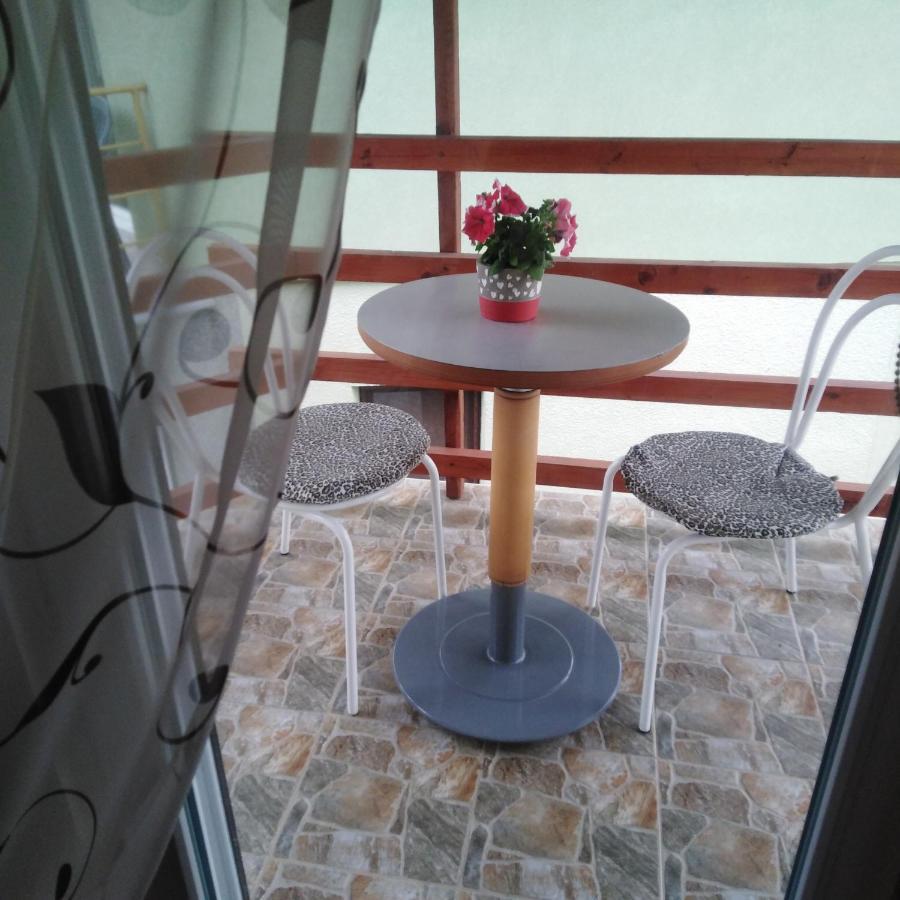 Apartman Sasa Banja Koviljača Exterior foto